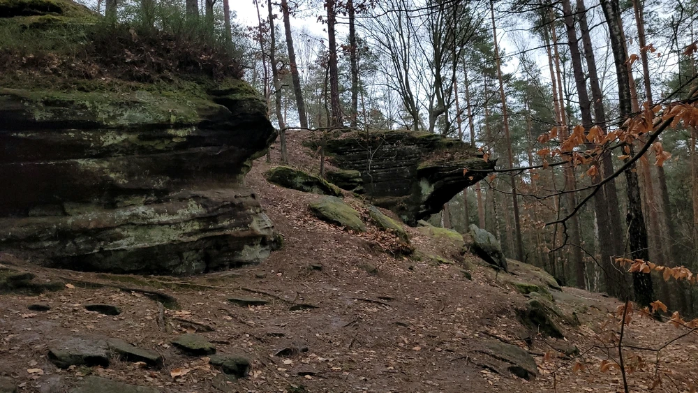 Zdjęcie dodane przez Heniutek