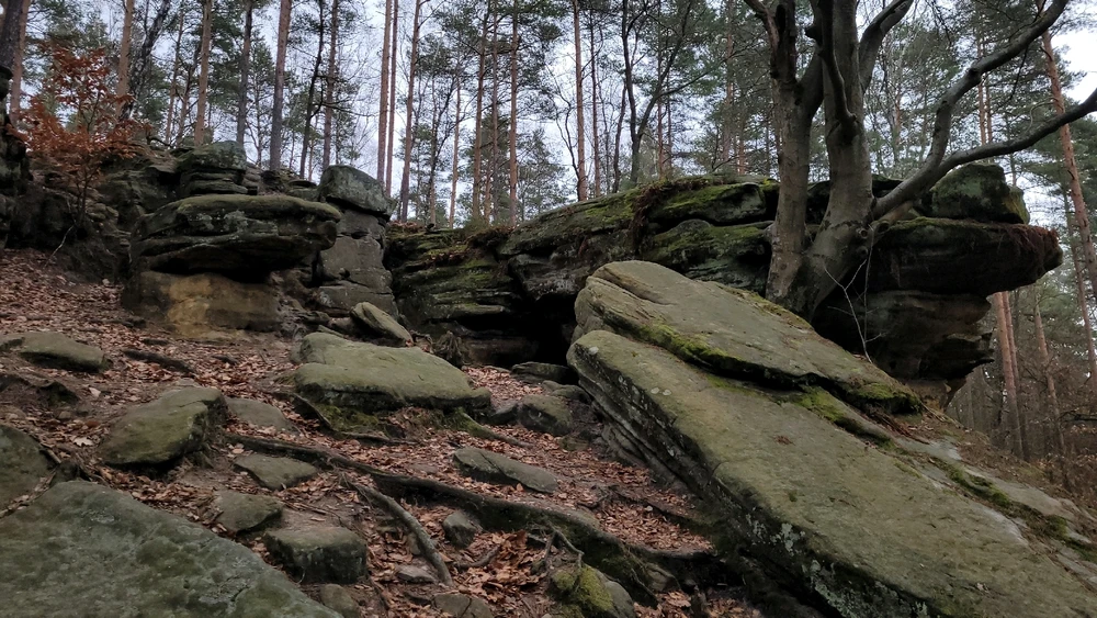 Zdjęcie dodane przez Heniutek