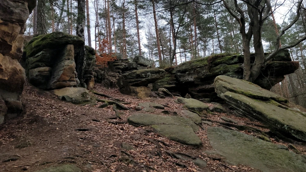 Zdjęcie dodane przez Heniutek