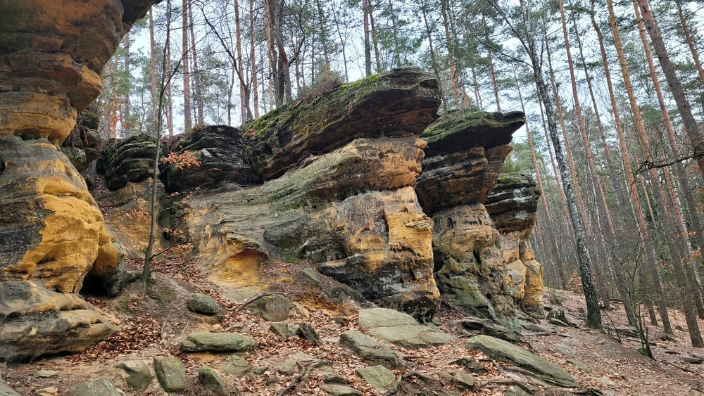 Zdjęcie dodane przez Heniutek