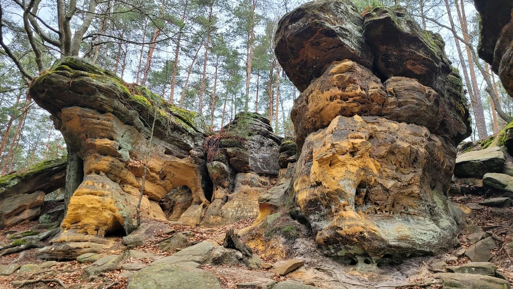 Zdjęcie dodane przez Heniutek