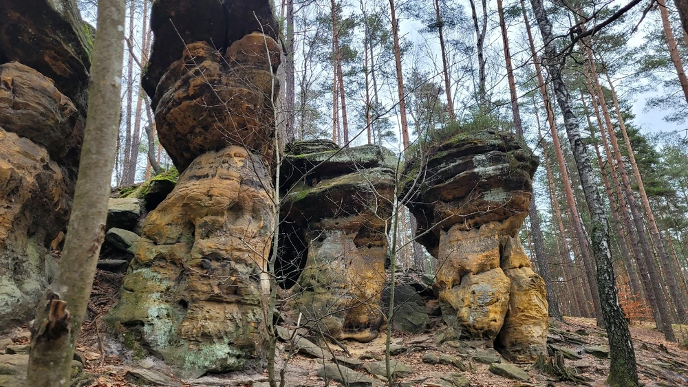 Zdjęcie dodane przez Heniutek