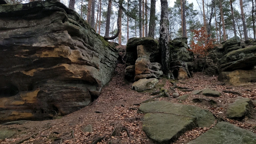 Zdjęcie dodane przez Heniutek