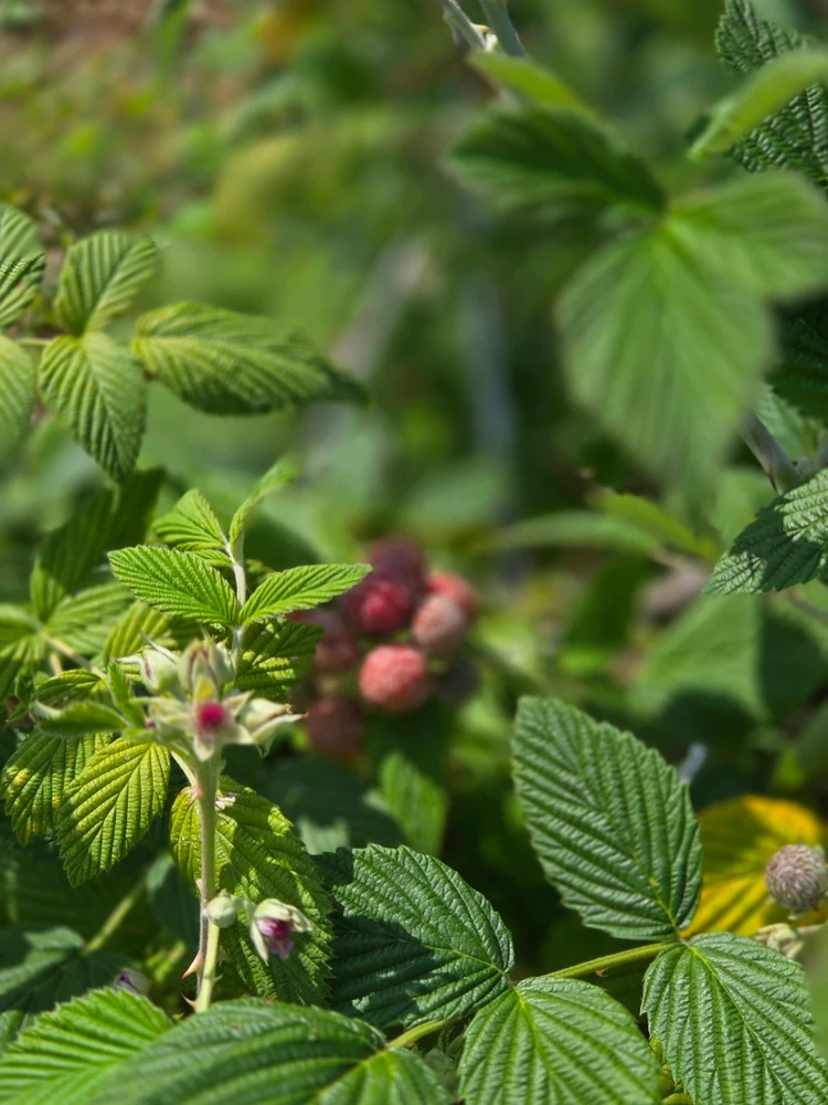 GIF uploaded by Lexx