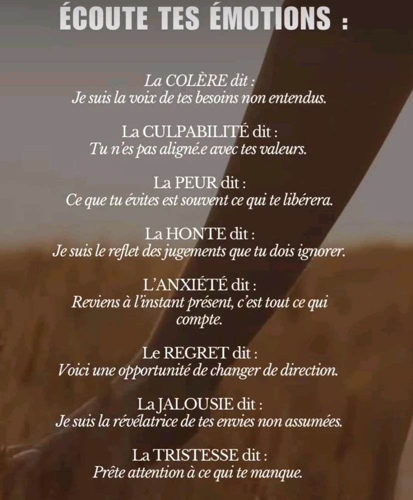 ✨💗 S'écouter, se comprendre, se pardonner et avancer 💗✨