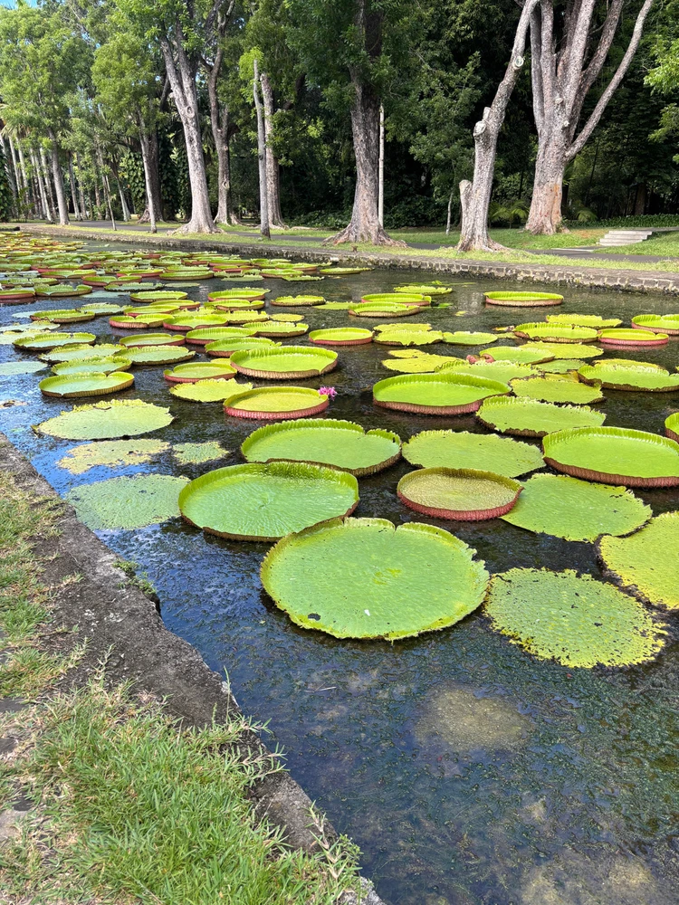 Image ajoutée par Abdellou