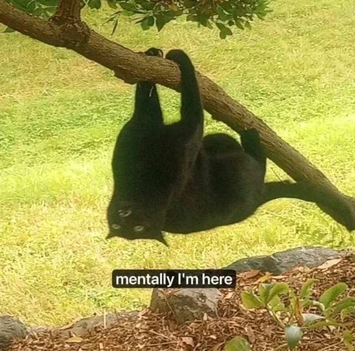 GIF hochgeladen von Natascha