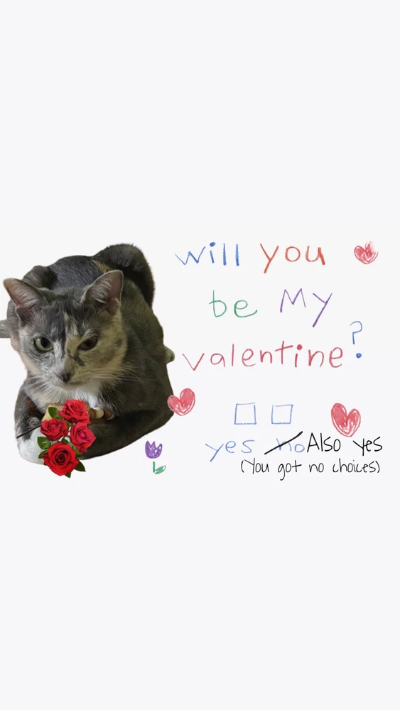 Pat♡上传的GIF