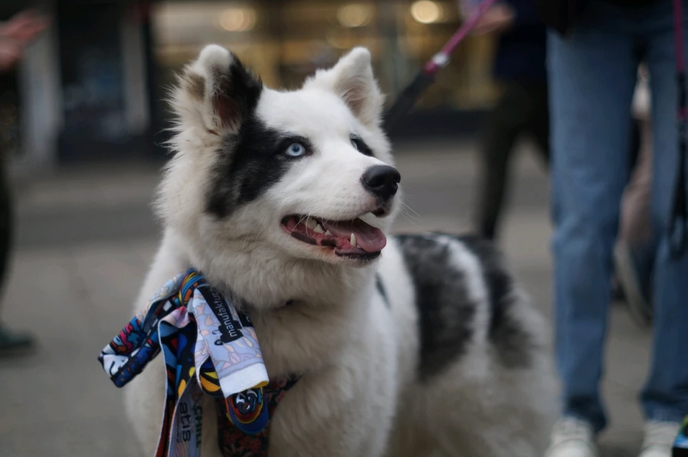 GIF uploaded by Adam