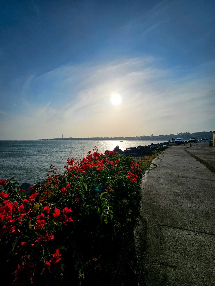 Gambar diunggah dening Michael