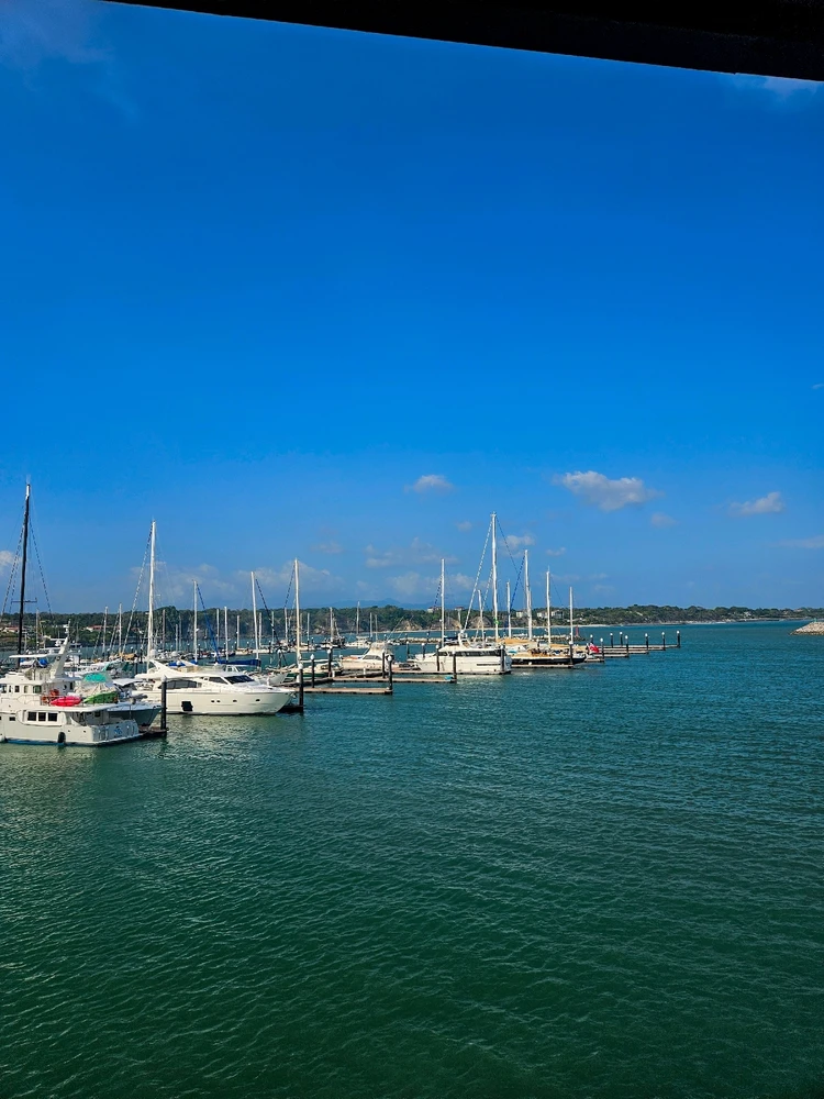 Gambar diunggah dening Michael