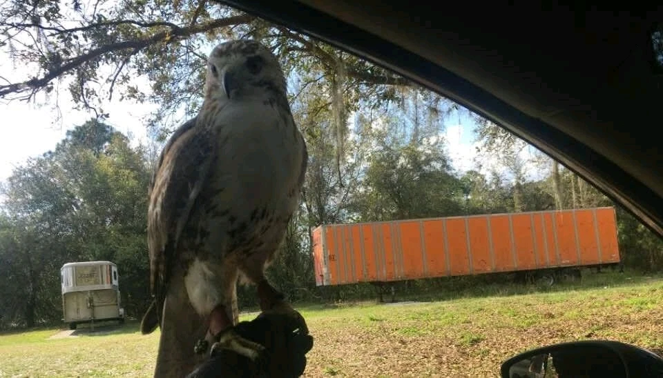 GIF uploaded by Sage