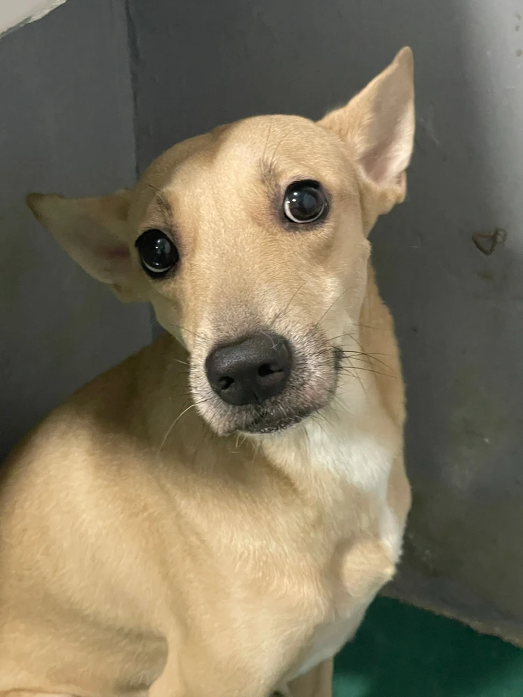 I-upload ni Charl ang larawan