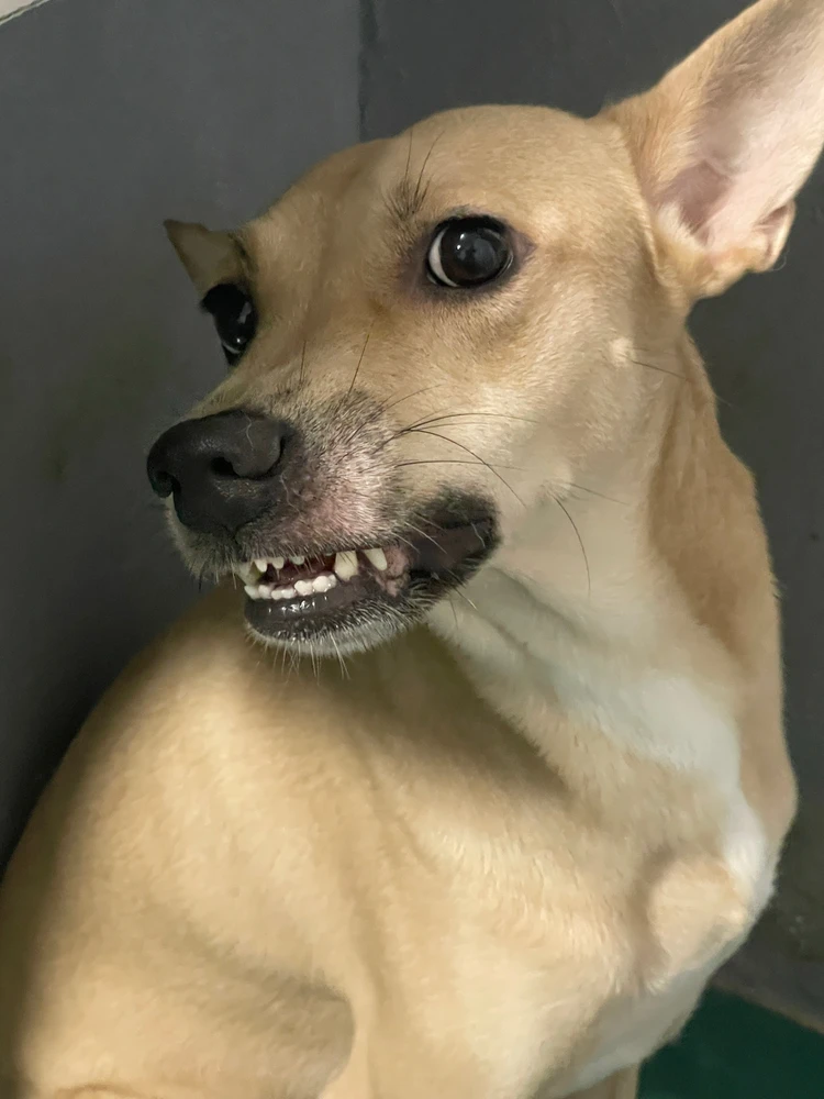 I-upload ni Charl ang larawan