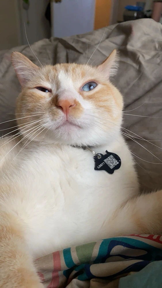 GIF uploaded by Brianna