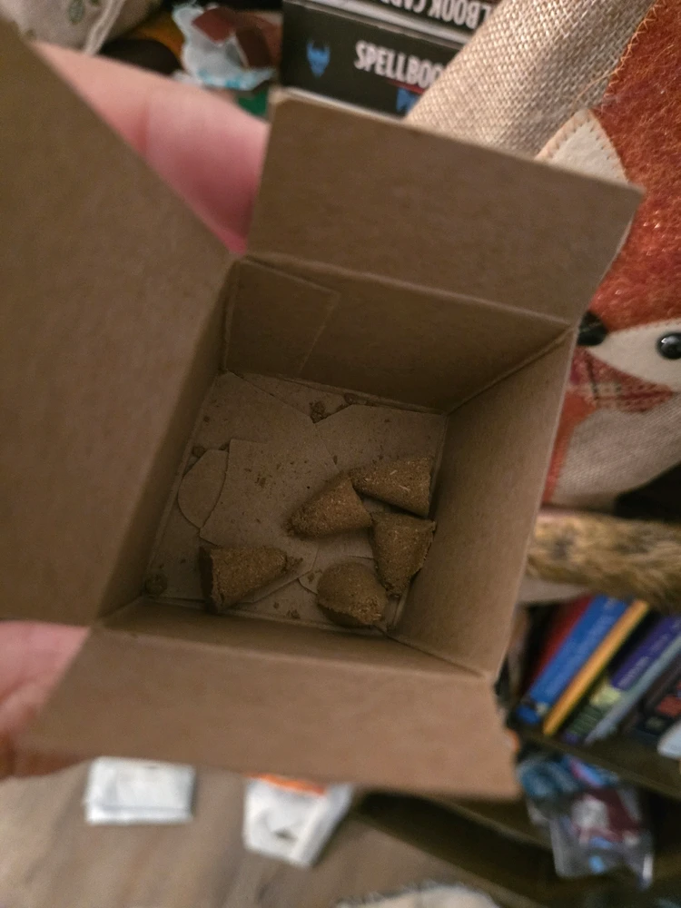 Image uploaded by Meg