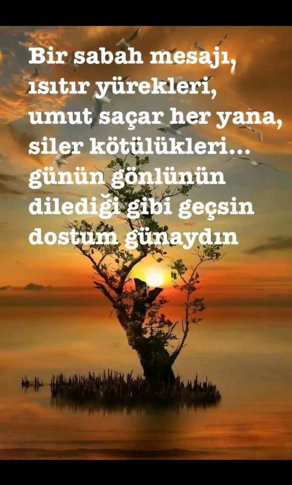 Sergüzeşt tarafından yüklenen GIF