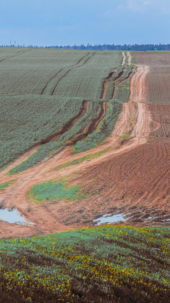 Image uploaded by Илья