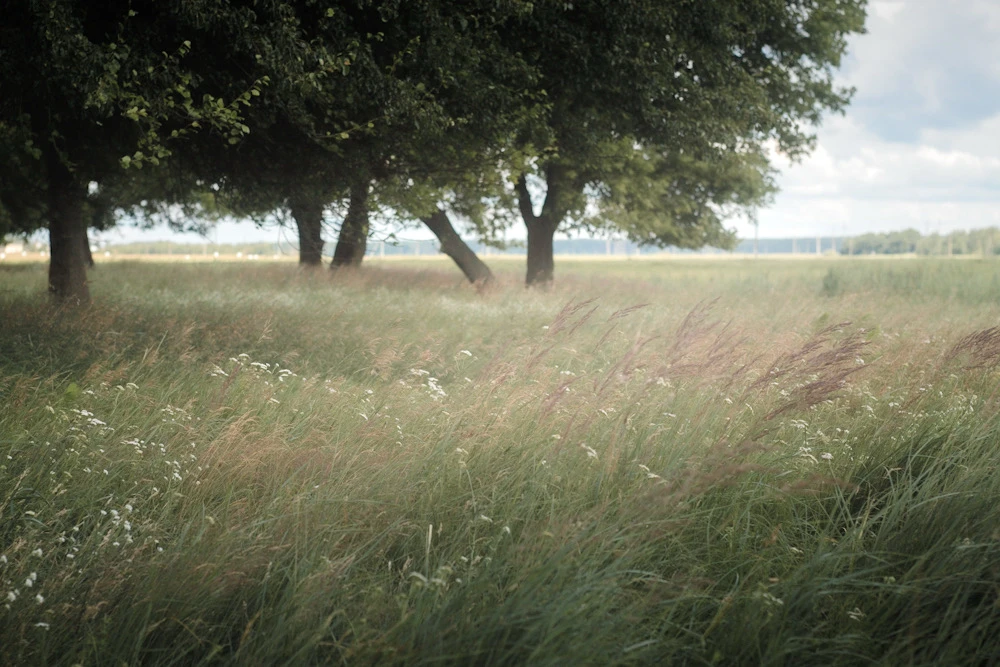 Image uploaded by Илья