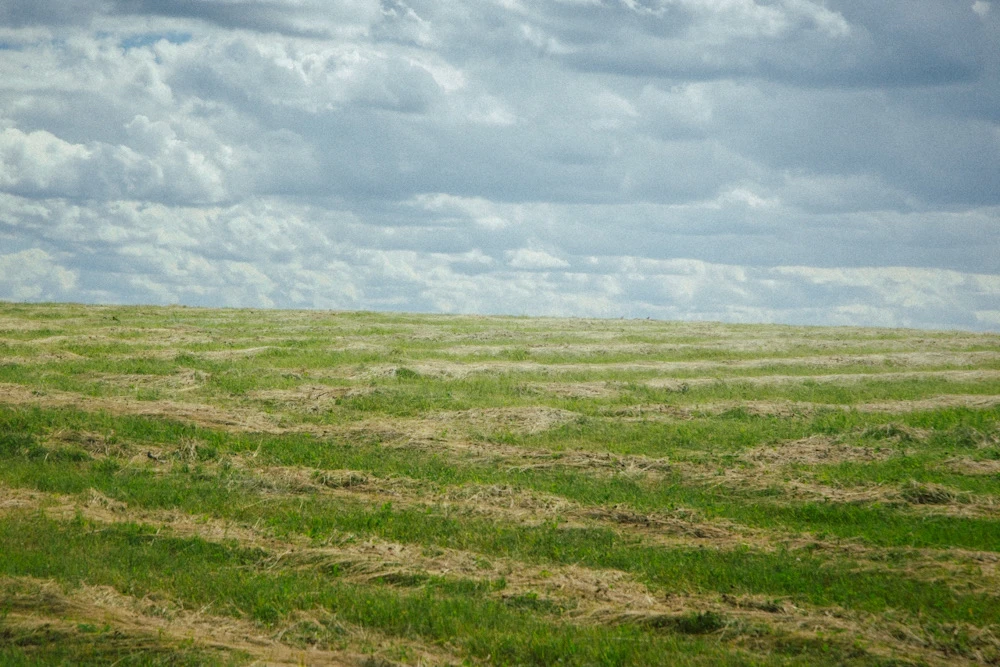 Image uploaded by Илья