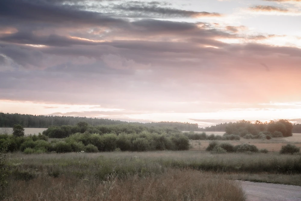 Image uploaded by Илья