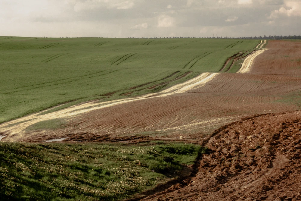 Image uploaded by Илья