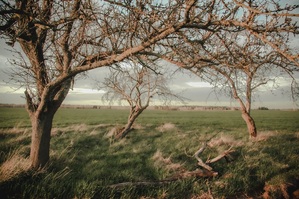 Image uploaded by Илья