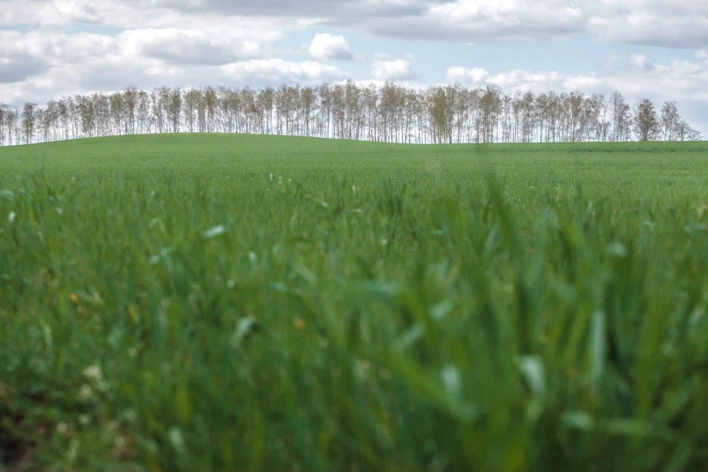 Image uploaded by Илья