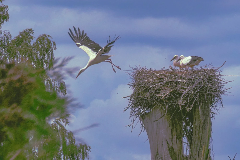 Image uploaded by Илья