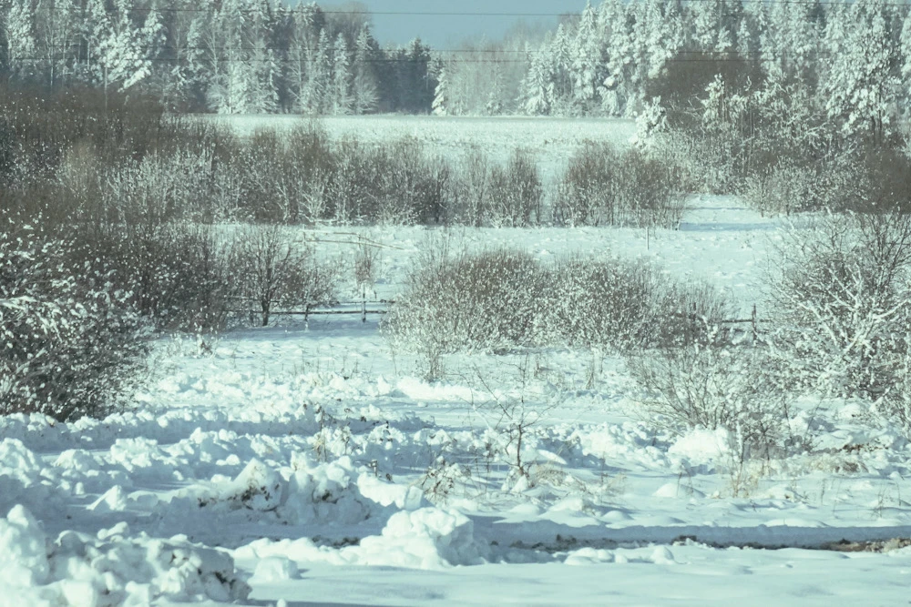 Image uploaded by Илья