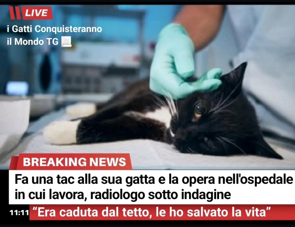 GIF caricata da Nanaki