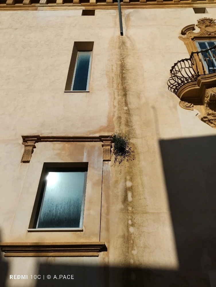 Immagine caricata da Alessandro | alpacigno