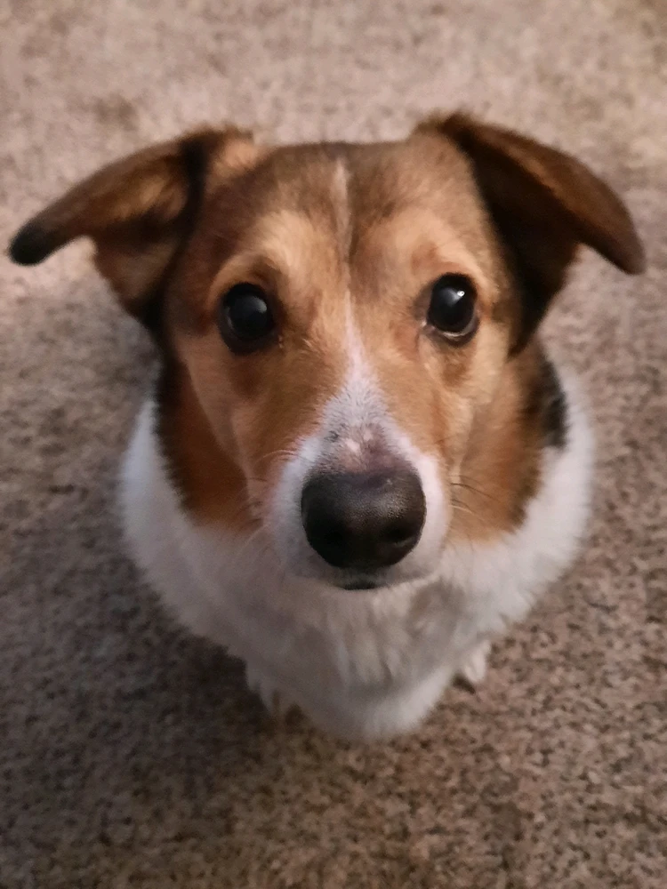 GIF uploaded by Dante