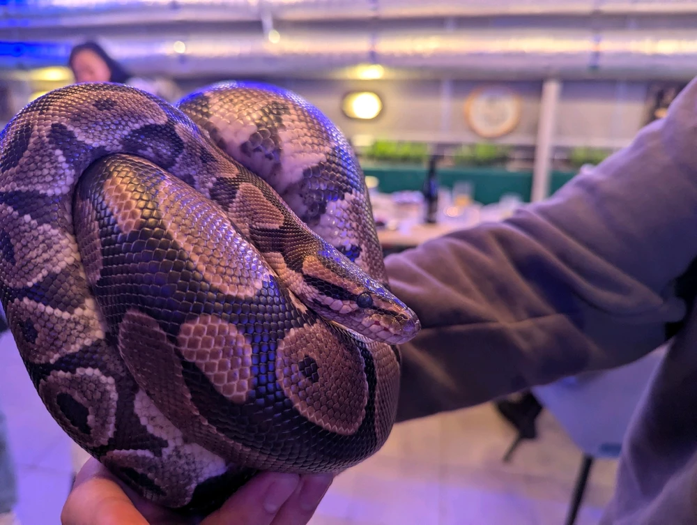 GIF diunggah dening RAY