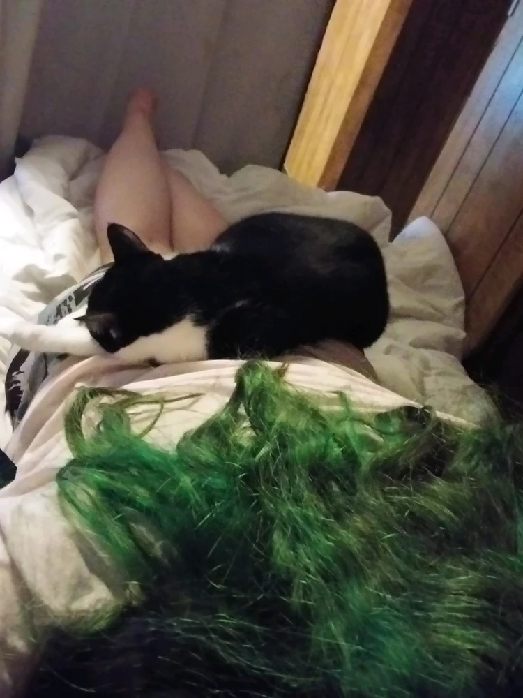 GIF uploaded by Finley