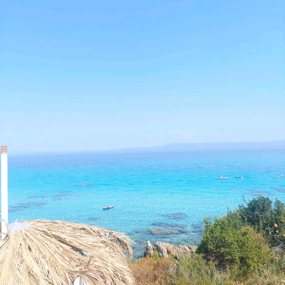 GIF otpremio/la Suzy