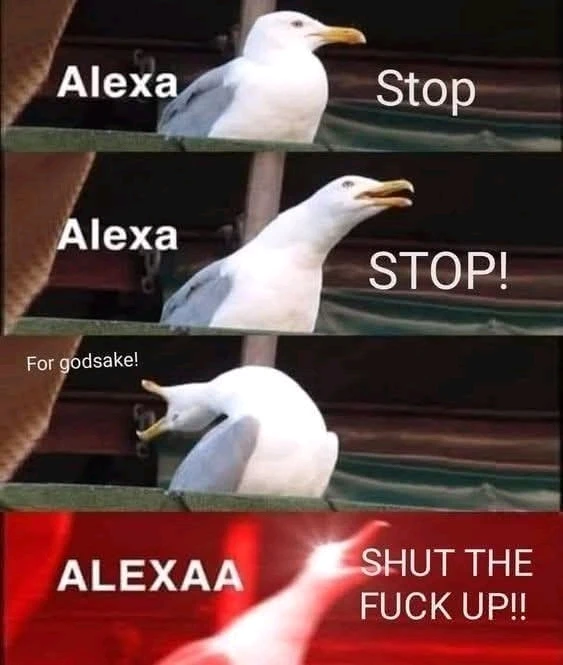 GIF ajouté par ✨ 𝓙𝓮𝓼𝓼𝓲𝓬𝓪 ✧