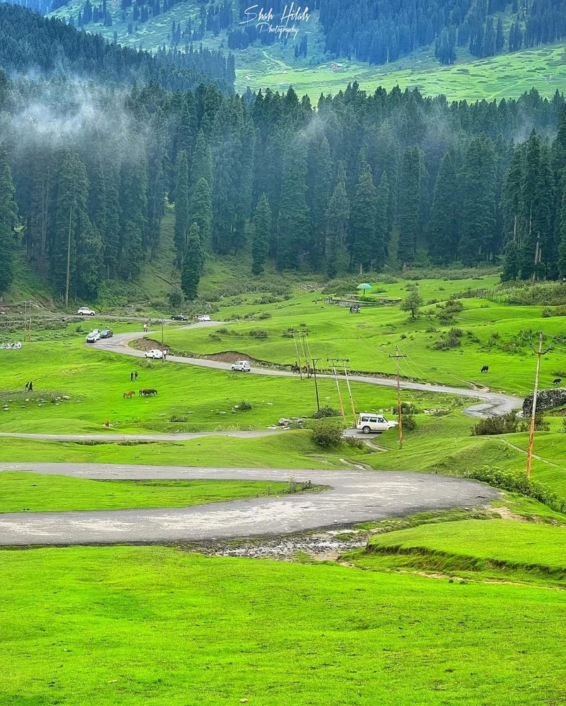 Image uploaded by Qamar