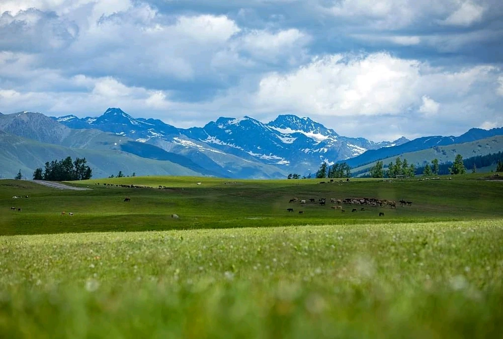 Image uploaded by Qamar