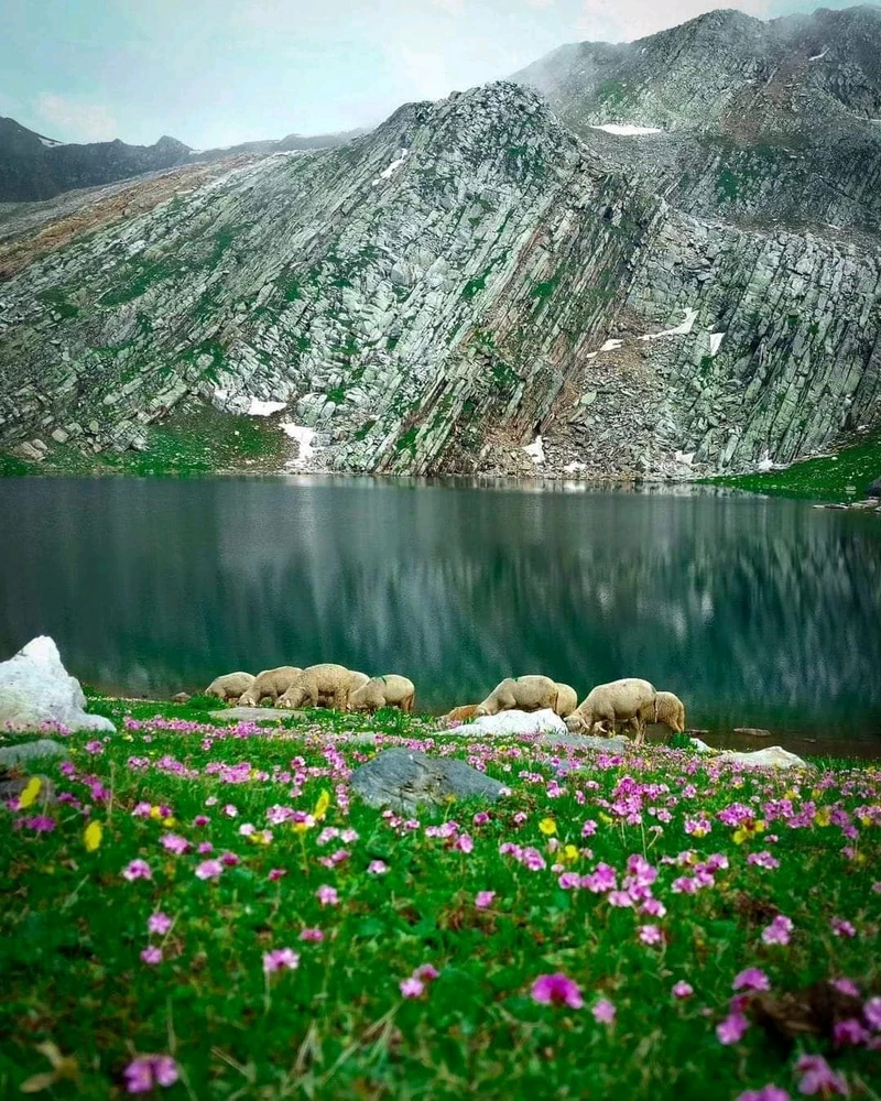 Image uploaded by Qamar