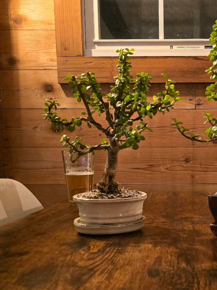 Gambar diunggah dening Nick