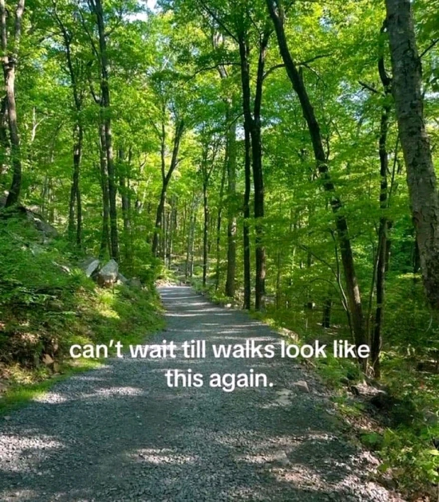 GIF uploaded by N A T