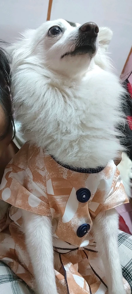Image uploaded by Zara