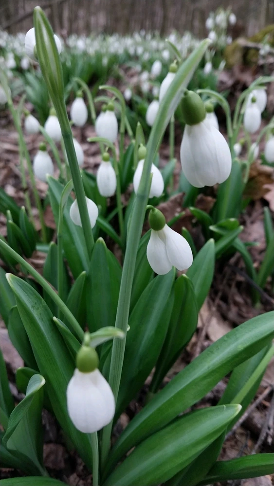 Image uploaded by Віталія/Vita