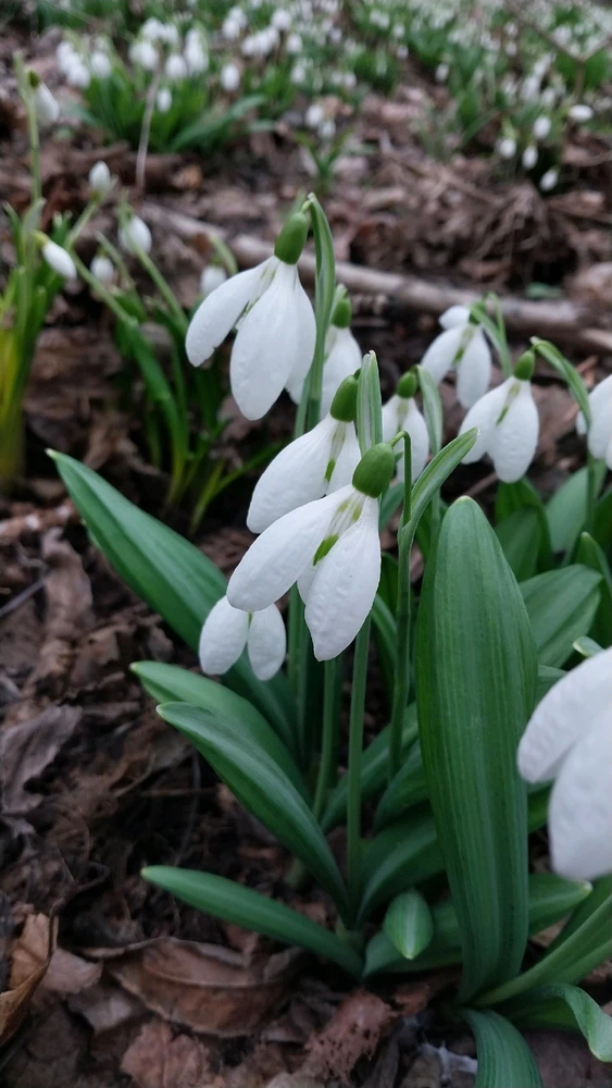 Image uploaded by Віталія/Vita