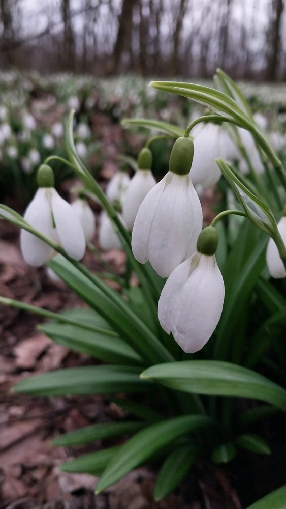 Image uploaded by Віталія/Vita