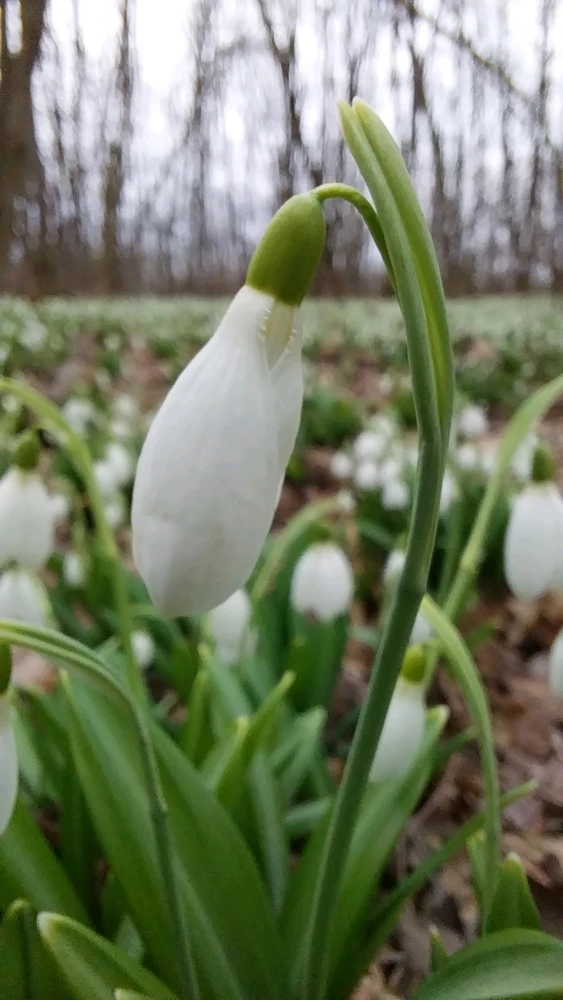 Image uploaded by Віталія/Vita