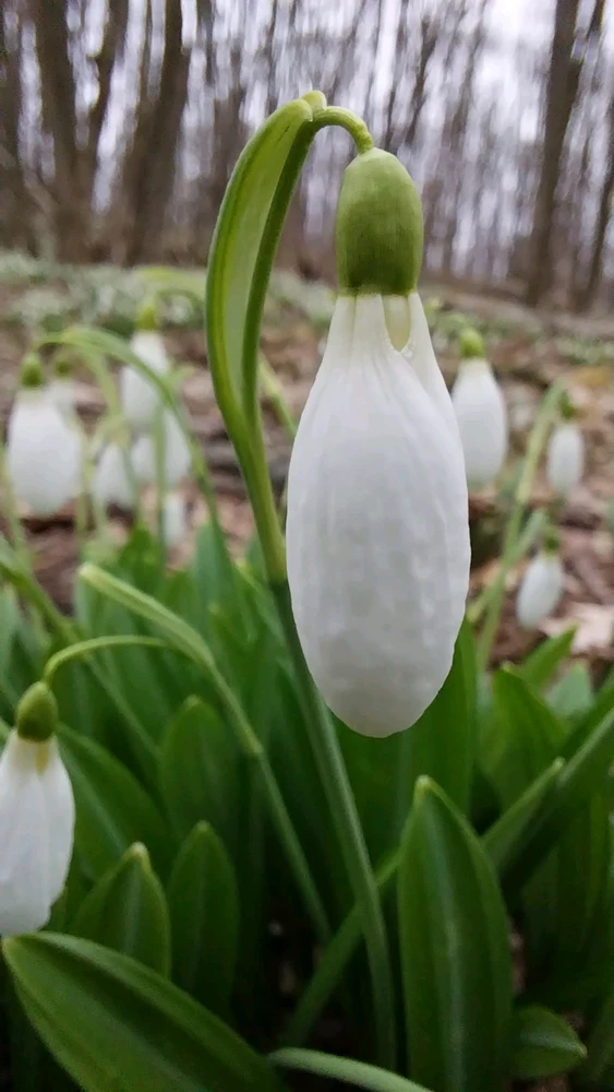 Image uploaded by Віталія/Vita