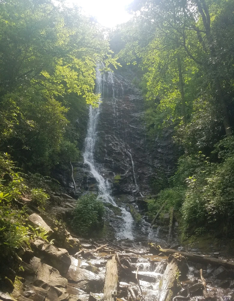 Ezra (i use forest also)上传的GIF