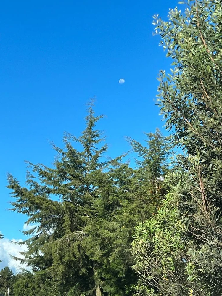 Imagen subida por Ruddy